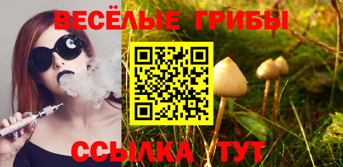 Псилоцибиновые грибы Psilocybine cubensis Красногорск
