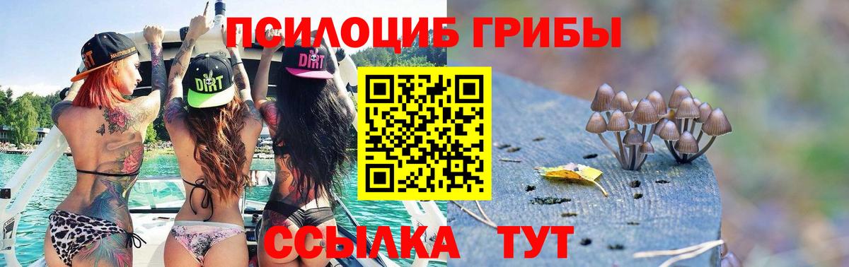 Псилоцибиновые грибы мухоморы  Псилоцибиновые грибы Psilocybine cubensis  Красногорск  Вход с VPN 